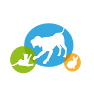 AnimOH logo